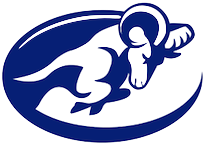 SV Logo